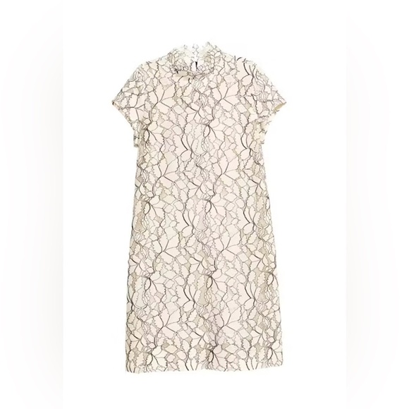 H&M Sheer Sheath Lace Dresses Cream with black detailing back ribbon tie Lined - Picture 16 of 17